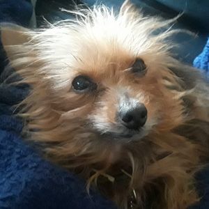 Meet your Posher, Kimberly